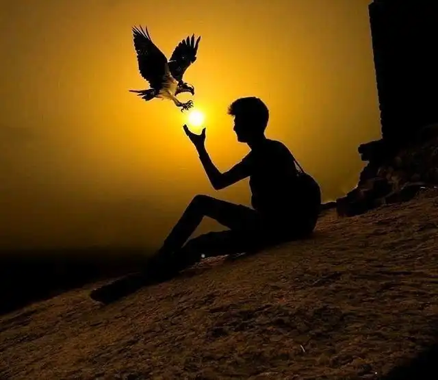 unique whatsapp dp images